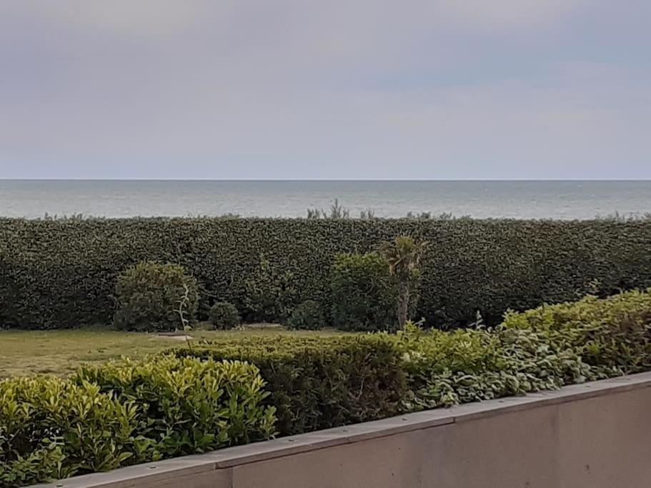 Les Rivages De Rochelongues, T3, Piscine, Clim, Parking Apartamento Agde Exterior foto